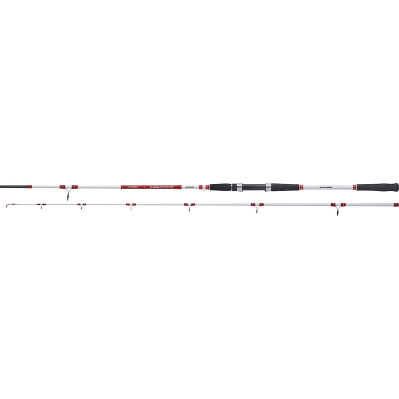 Balzer Magna Nordic Pro Flexo Pilk 2,40 m WFG: 55 – 220 g-