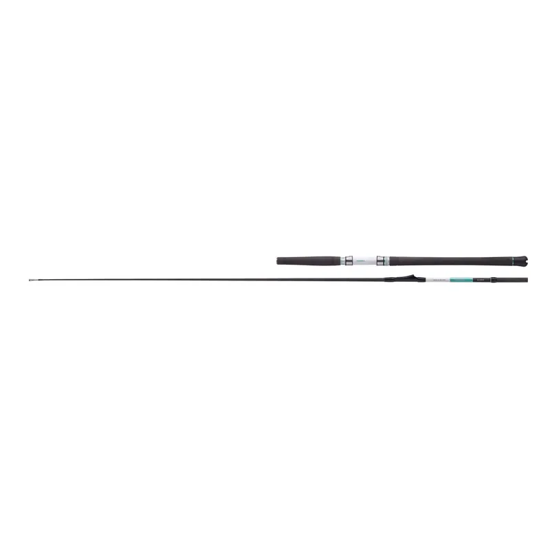Balzer Norwegenrute 71 North Boat 30 Inliner 2,15 m WFG: 200 – 750 g-