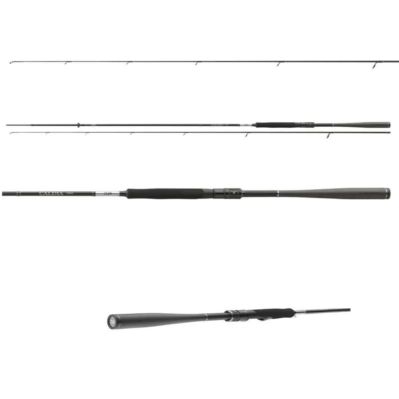 Daiwa Caldia Sensor Jig-2,10 m WFG: 8 – 35 g
