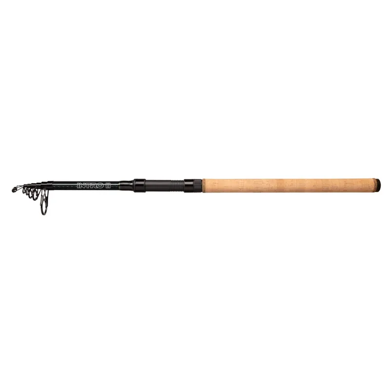 Mikado Power Cork Teleskoprute-3,00 m Wfg. Bis 120 g