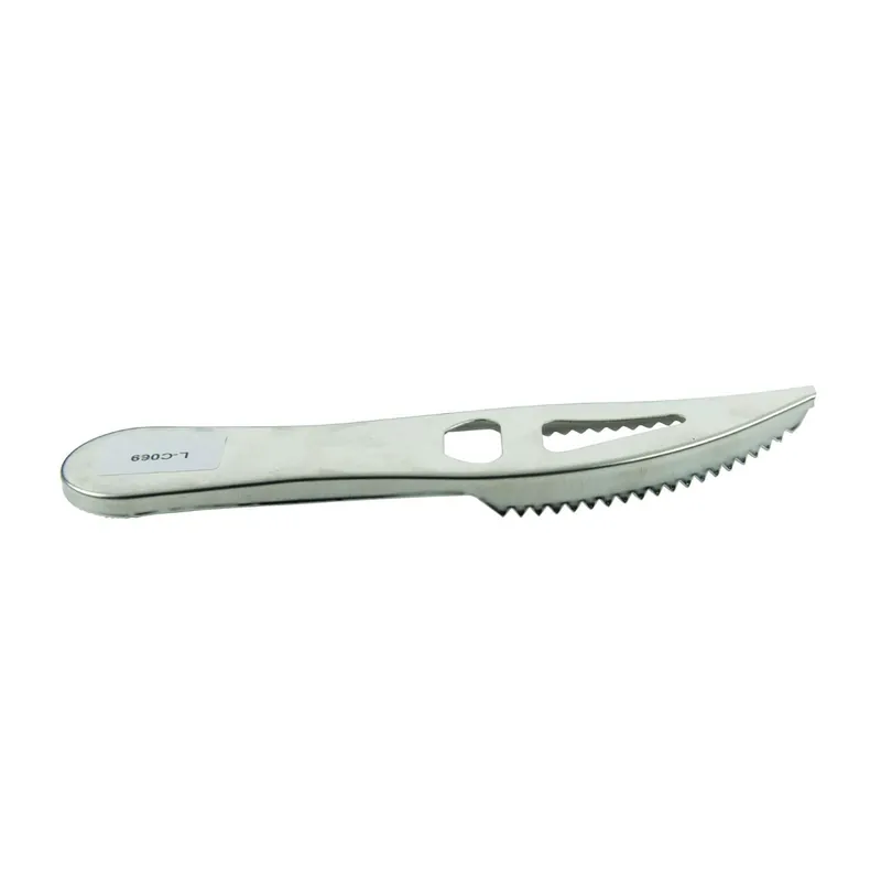 Ragot Edelstahl Fischschupper-