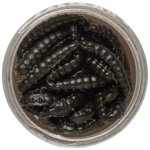Berkley Bienenmade Powerbait Power Honey Worms Black 1480779 45mm