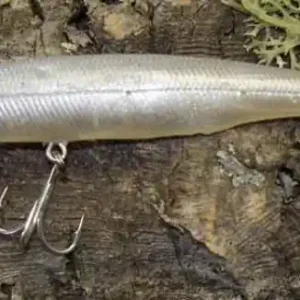 Hart Raptor 11,2g 95mm Wobbler Gummiwobbler Twitchbait Jackall Mask SoftHardbait