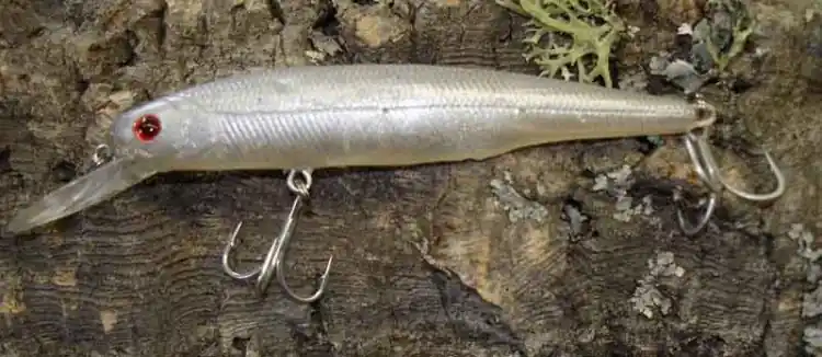 Hart Raptor 11,2g 95mm Wobbler Gummiwobbler Twitchbait Jackall Mask SoftHardbait