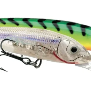 Rapala Wobbler Down Deep Husky Jerk 10cm 11g DD Hardbait Suspender Suspending