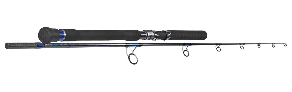 Spinn-Rute Spin Sportex Meeresrute Magnus Mastergrade Sea Cast MS2506 250cm 120g