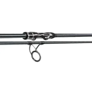 Premium Karpfen-rute Sportex Karpfenrute Graphenon Carp 12" 3,00lbs 366cm