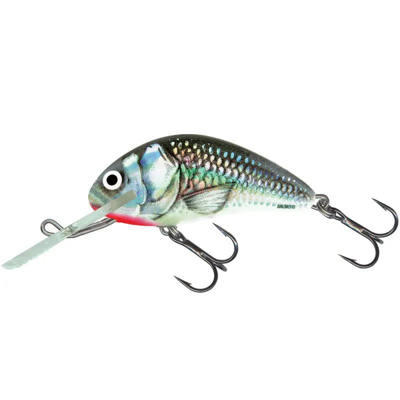 Salmo Hornet 6 cm (Sinking)-