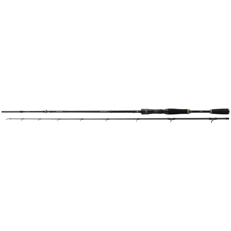 Daiwa 24 Prorex XR BC-2.10 m | 14-42 g