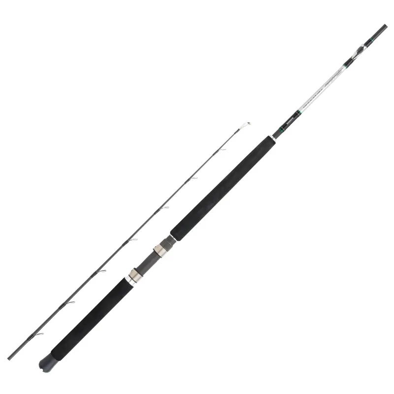 Shimano Speedmaster AX Boat Slim - Meeresrute Wurfgewicht: 12-20lbs