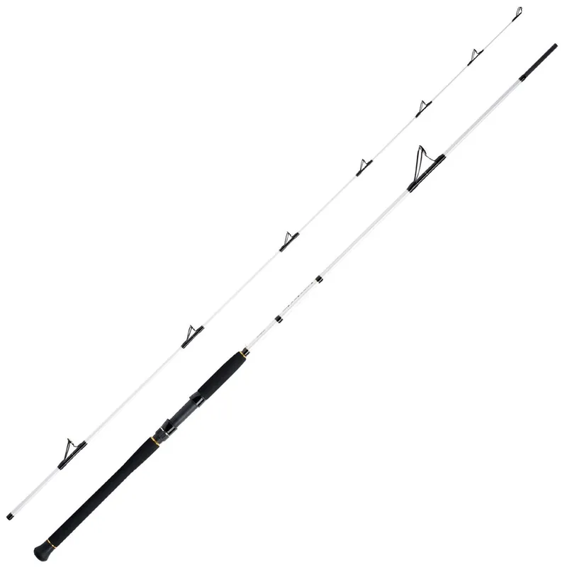 WFT Salzmeister Coastal Jigger 2,75m 40-160g Teile: 2