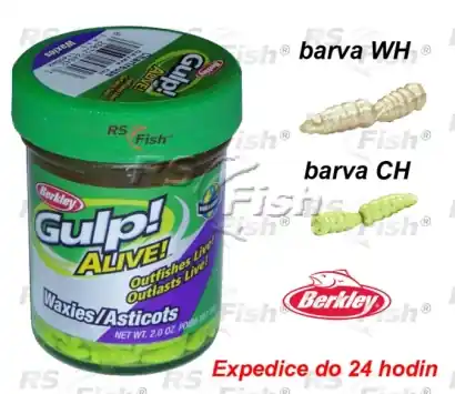 Wurm Berkley Gulp! Alive Waxies
