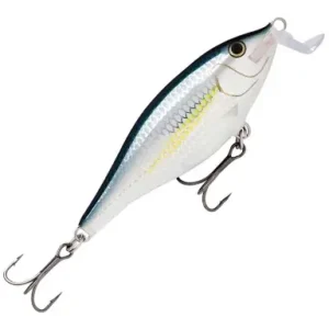 Wobbler Rapala Shad Rap Shallow Runner - farbe ALB