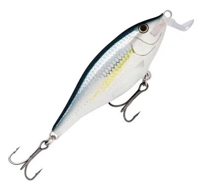 Wobbler Rapala Shad Rap Shallow Runner - farbe ALB