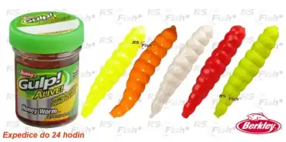Wespenlarven Berkley Gulp! Alive Honey Worm