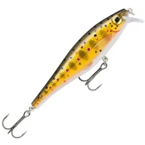 Wobbler Rapala BX Minnow - barva TR