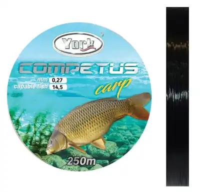 Angelleine York Competus Carp