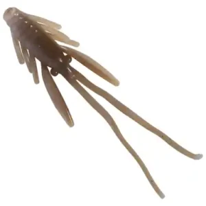Nymphe Berkley PowerBait - farbe Toad