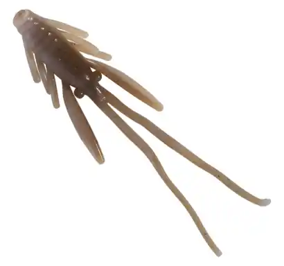 Nymphe Berkley PowerBait - farbe Toad