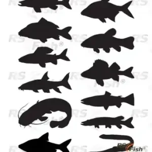 Aufklebern Fische - farbe schwarz