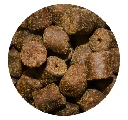 Pellets RS Fish RC Heilbutt 20 mm - 10 kg