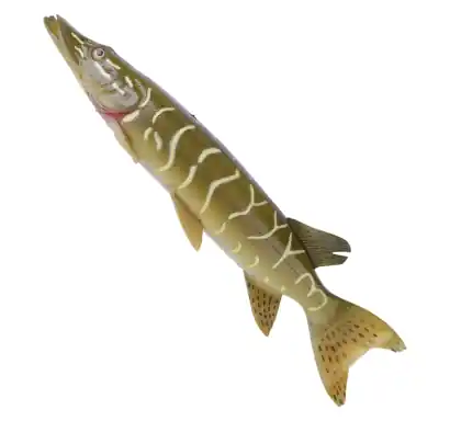 Ripper Savage Gear 3D Line Thru Pike - farbe Pike 48800