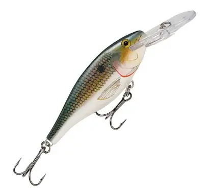 Wobbler Rapala Shad Rap Deep Runner - farbe SD