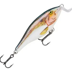 Wobbler Rapala Shad Rap Shallow Runner - farbe SD
