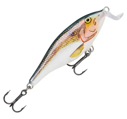 Wobbler Rapala Shad Rap Shallow Runner - farbe SD