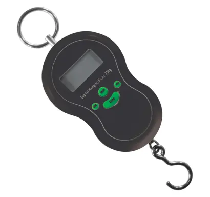 Schnellwaage digital York 25 kg - WYES
