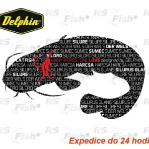 Aufkleber Delphin - Wels WORDS