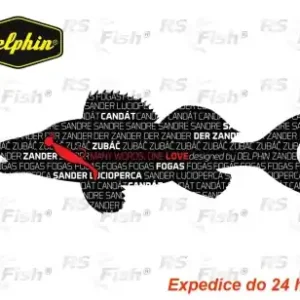 Aufkleber Delphin - Zander WORDS