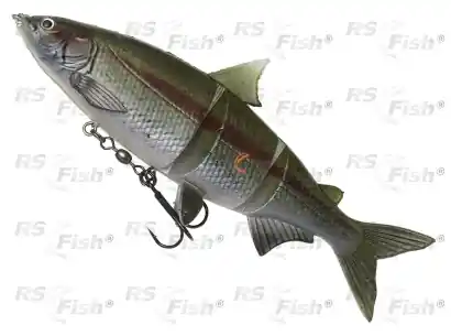 Ripper DAM Effzett Natural Whitefish - farbe Rainbow Trout