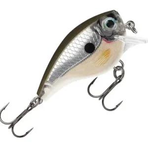 Wobbler Rapala BX Brat - farbe PGS