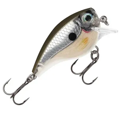 Wobbler Rapala BX Brat - farbe PGS