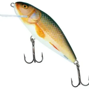 Wobbler Salmo Perch - farbe Real Roach