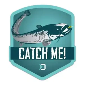 Aufkleber Delphin Catch Me! - Wels