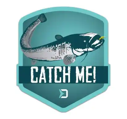 Aufkleber Delphin Catch Me! - Wels