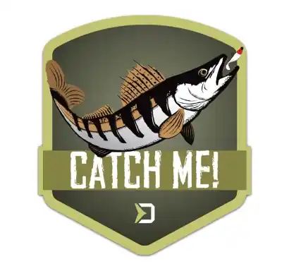 Aufkleber Delphin Catch Me! - Zander
