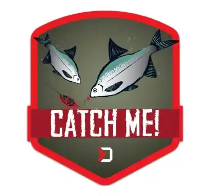 Aufkleber Delphin Catch Me! - Feeder