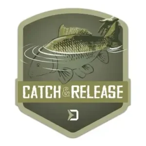 Aufkleber Delphin Catch & Release