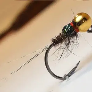 Jig RS Fish TGJ03