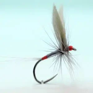 Fliege RS Fish Dry SM01