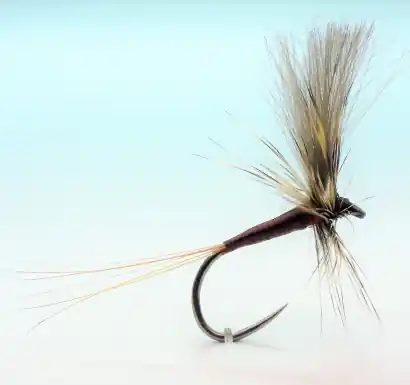 Fliege RS Fish Dry SM06
