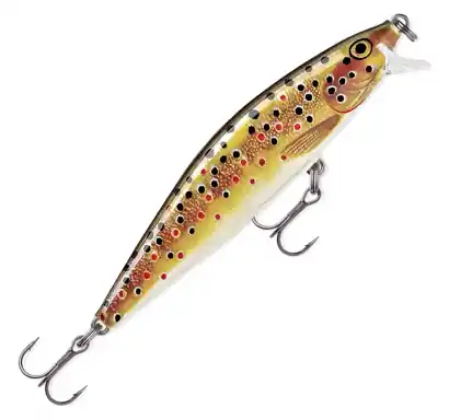 Wobbler Rapala Flat Rap - farbe TR