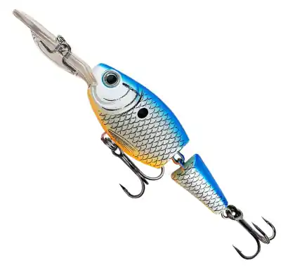 Wobbler York Ruby - farbe Blue Roach 68042
