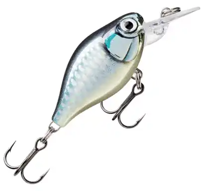 Wobler Rapala X-Light Crank Mid Runner - farbe BAP