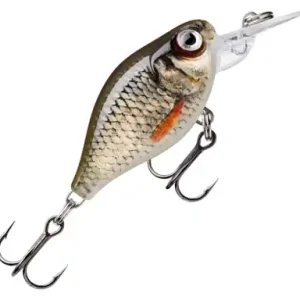 Wobler Rapala X-Light Crank Mid Runner - farbe ROL
