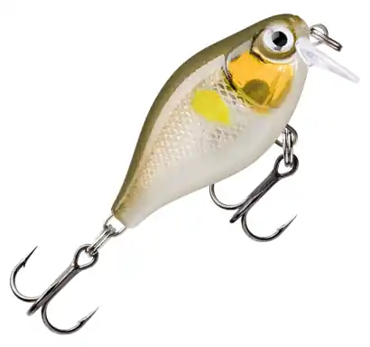 Wobler Rapala X-Light Crank Shallow Runner - farbe AYU