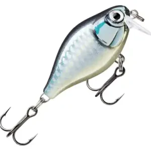 Wobler Rapala X-Light Crank Shallow Runner - farbe BAP
